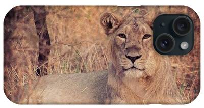 Lion Cub iPhone Cases