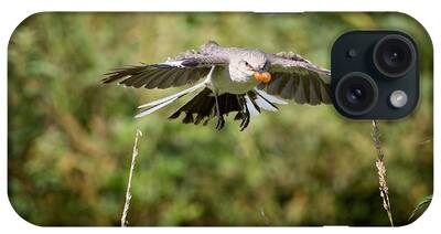 Mockingbird In Flight iPhone Cases