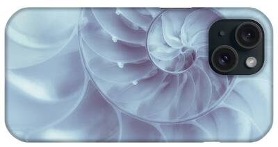 Seashell Macro iPhone Cases