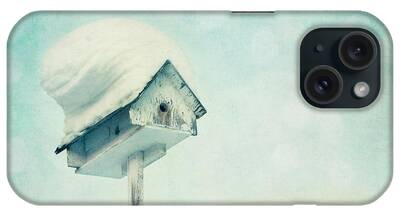 Birdhouses iPhone Cases