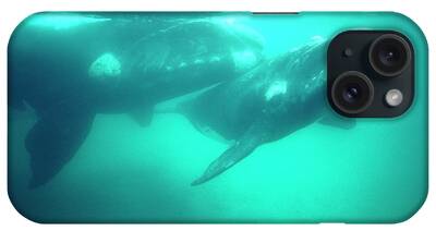 Southern Right Whales iPhone Cases