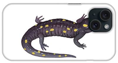 Salamanders iPhone Cases
