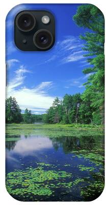 Bigelow Hollow iPhone Cases