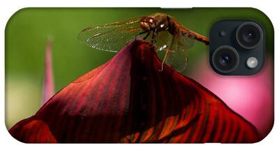 Striped Dragon Fly iPhone Cases