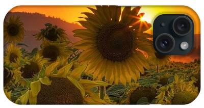 Sunflower iPhone Cases