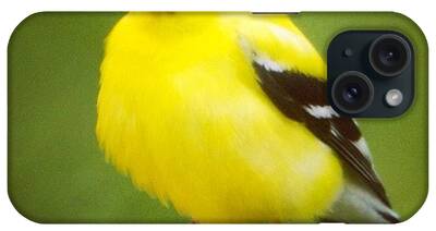 Ornithology iPhone Cases