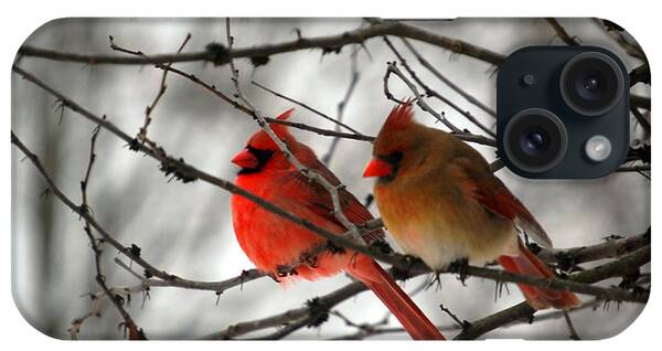Female Northern Cardinal iPhone Cases
