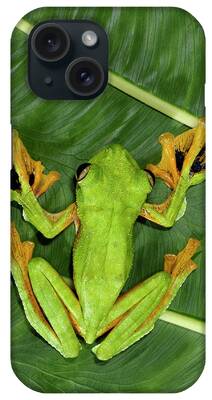 Wallaces Flying Frog iPhone Cases