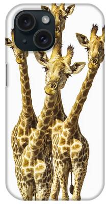 Giraffe Photos iPhone Cases