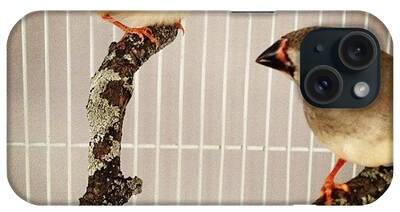 Finches iPhone Cases