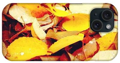 Leaf Litter iPhone Cases