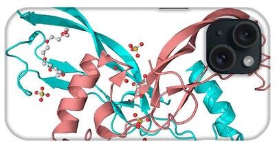 Inhibin-beta-a iPhone Cases
