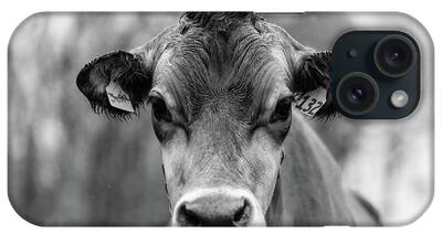 Cow Portrait iPhone Cases