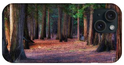 Redwood Forest iPhone Cases