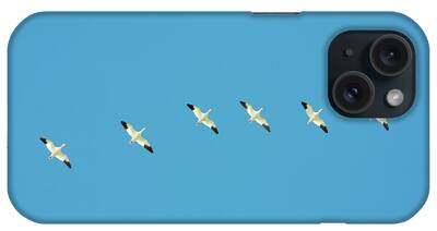 Snow Geese In Migration iPhone Cases