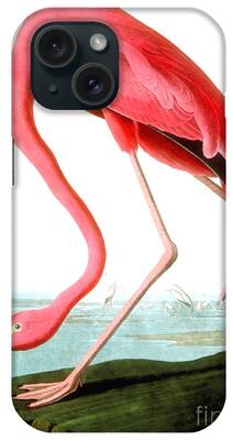 American Flamingo iPhone Cases