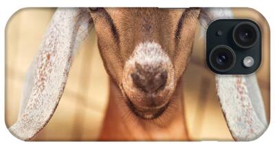 Nubian Goat iPhone Cases
