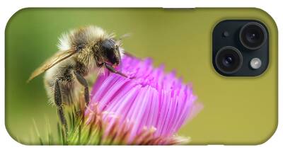 Beneficial Insect iPhone Cases