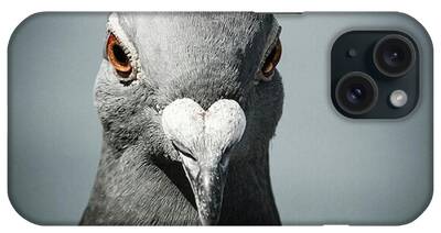 Bird Portrait iPhone Cases