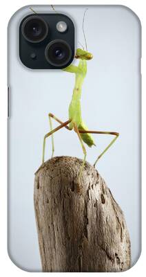 Praying Mantis iPhone Cases
