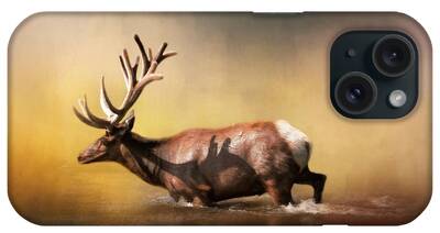 Antlers Photos iPhone Cases