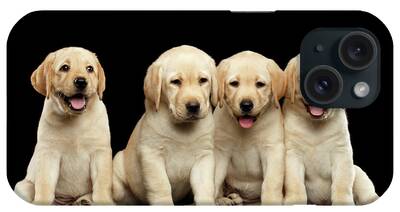 Golden Puppy Photos iPhone Cases