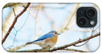Birdwatchers iPhone Cases