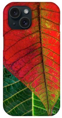 Chlorophyll iPhone Cases