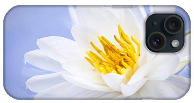 Yellow Water Lily iPhone Cases