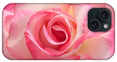 Pink Roses Photos iPhone Cases