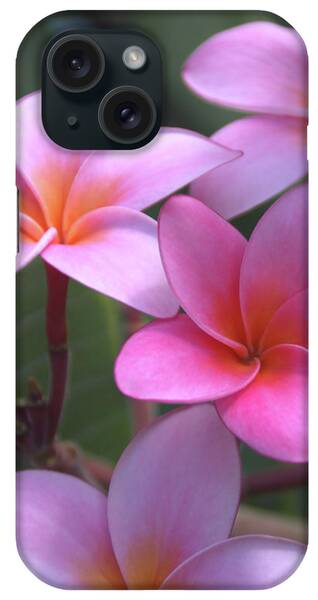 Big Island Of Hawaii iPhone Cases