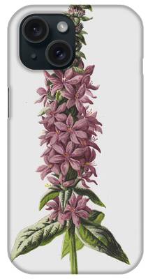 Loose Petals Paintings iPhone Cases