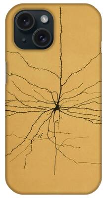 Pyramidal Cell iPhone Cases