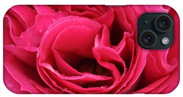 Water Drops On Rose iPhone Cases