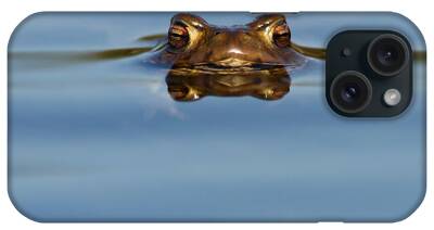 Common Frog iPhone Cases