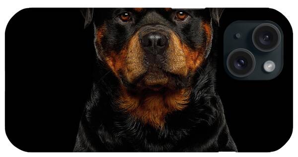 Rottweiler iPhone Cases