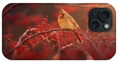 Female Cardinal iPhone Cases