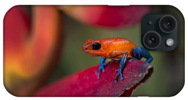 Strawberry Poison Dart Frog iPhone Cases