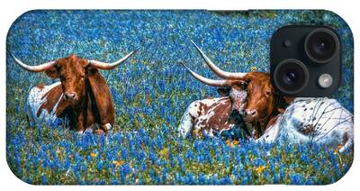 Texas Longhorn Cow Digital Art iPhone Cases
