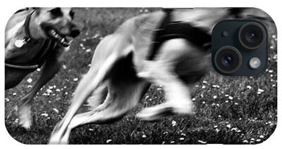 Persiangreyhound iPhone Cases