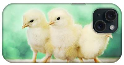 Baby Chick iPhone Cases