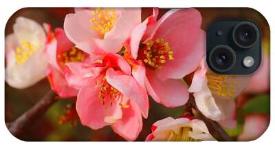 Designs Similar to Toyo-Nishiki Quince Blooms