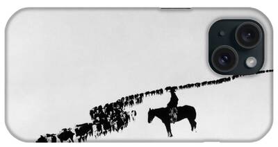 Carousel Horses iPhone Cases