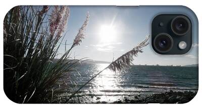 Pampas Grass iPhone Cases