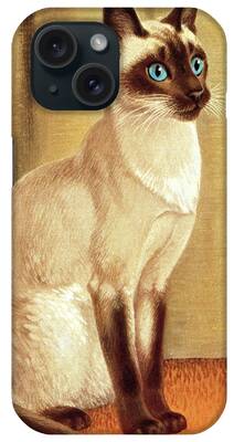 Siamese Drawings iPhone Cases