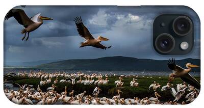 Flock Of Flying White Pelicans iPhone Cases