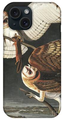 Designs Similar to Barn Owl, Tyto Alba by Audubon