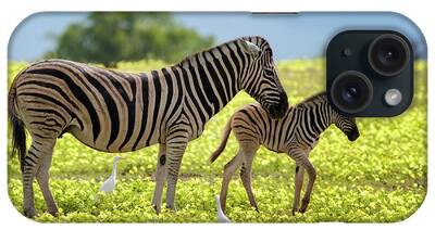 Zebra And Cattle Egret Bird iPhone Cases
