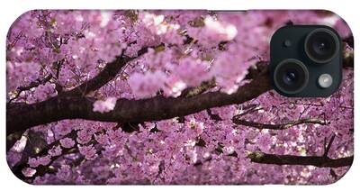 Designs Similar to Cherry Blossom Tree Panorama
