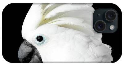 Talking Parrot iPhone Cases